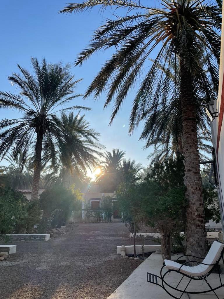 Отель Dar Barka Kebili Экстерьер фото