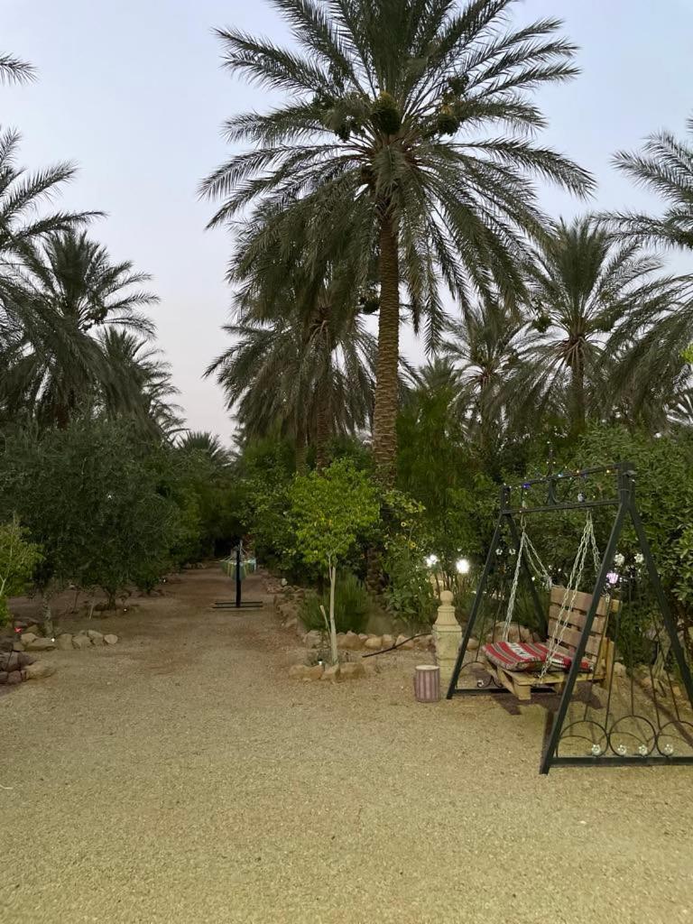 Отель Dar Barka Kebili Экстерьер фото