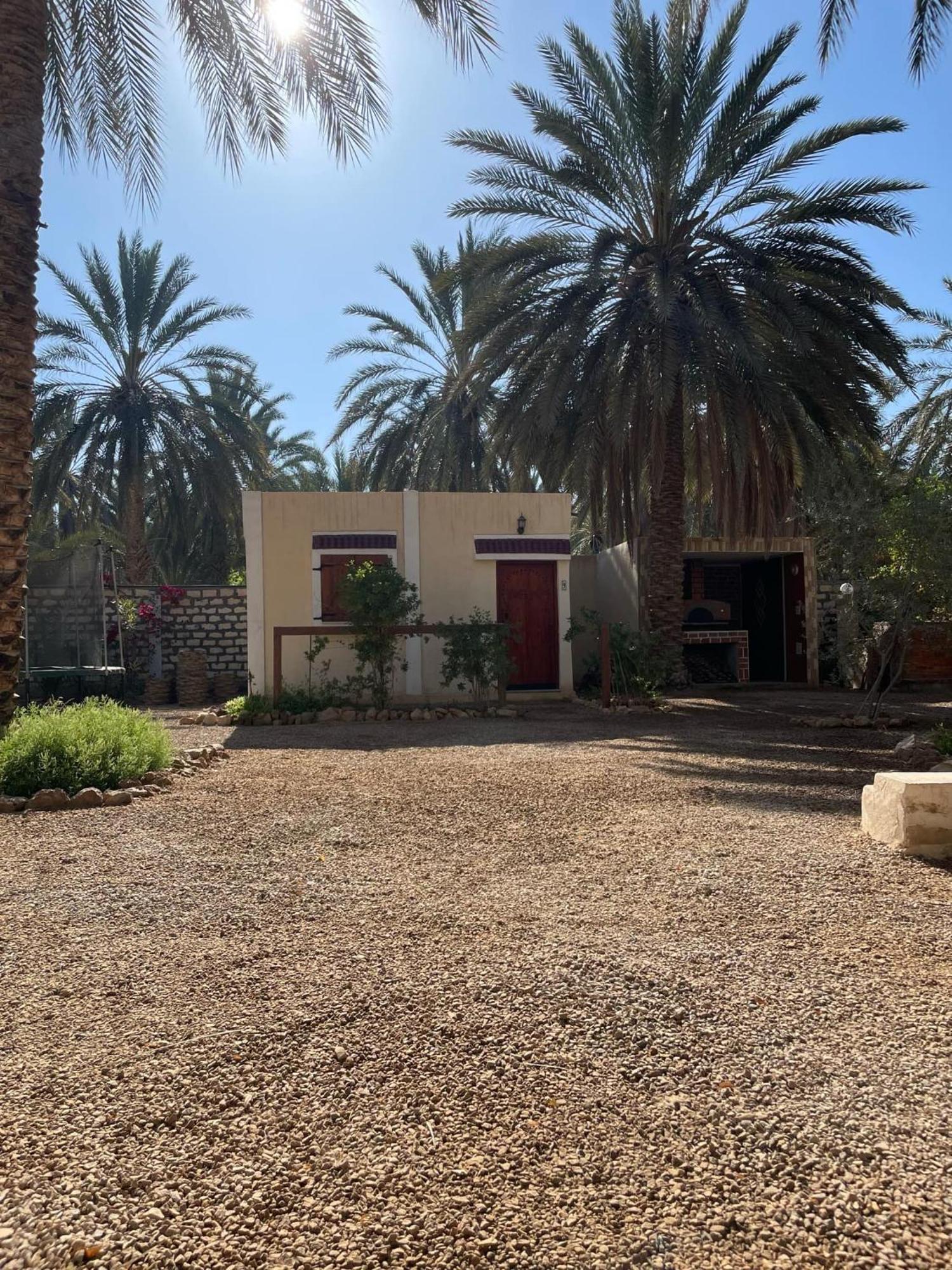 Отель Dar Barka Kebili Экстерьер фото